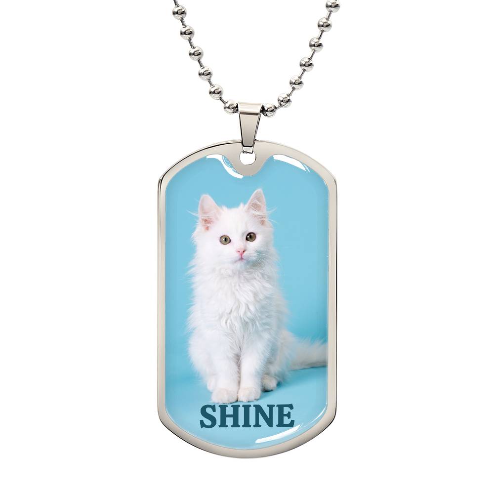 Photo depicting the ​Shine Kitty Necklace from EpiAl's Shop.