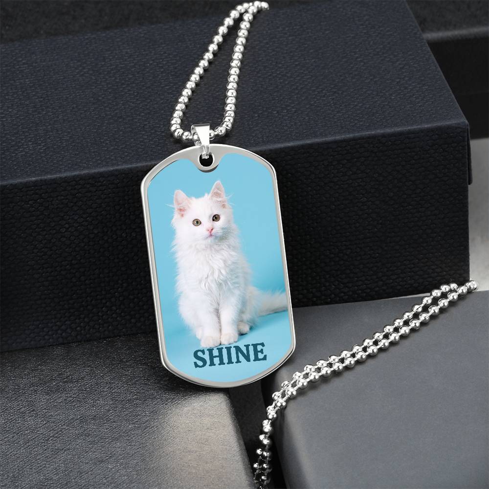 Photo depicting the ​Shine Kitty Necklace from EpiAl's Shop.