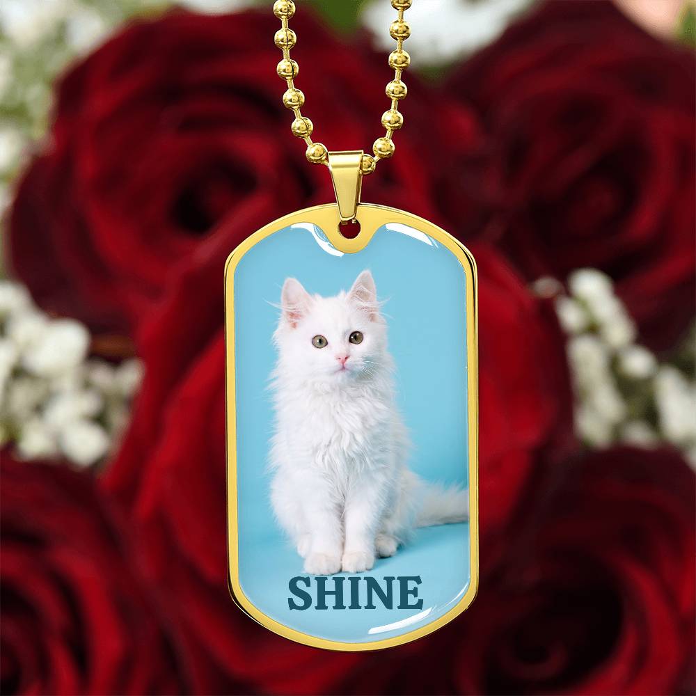 Photo depicting the ​Shine Kitty Necklace from EpiAl's Shop.