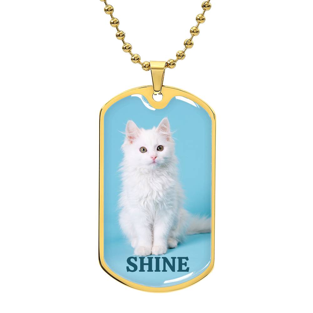 Photo depicting the ​Shine Kitty Necklace from EpiAl's Shop.