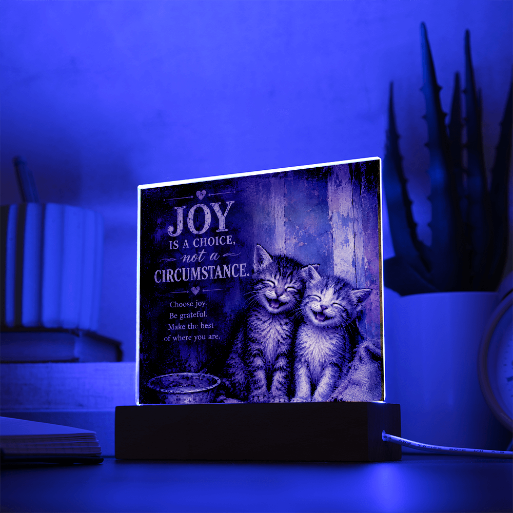Joy Is a Choice Kitten Acrylic Plaque with LED Base