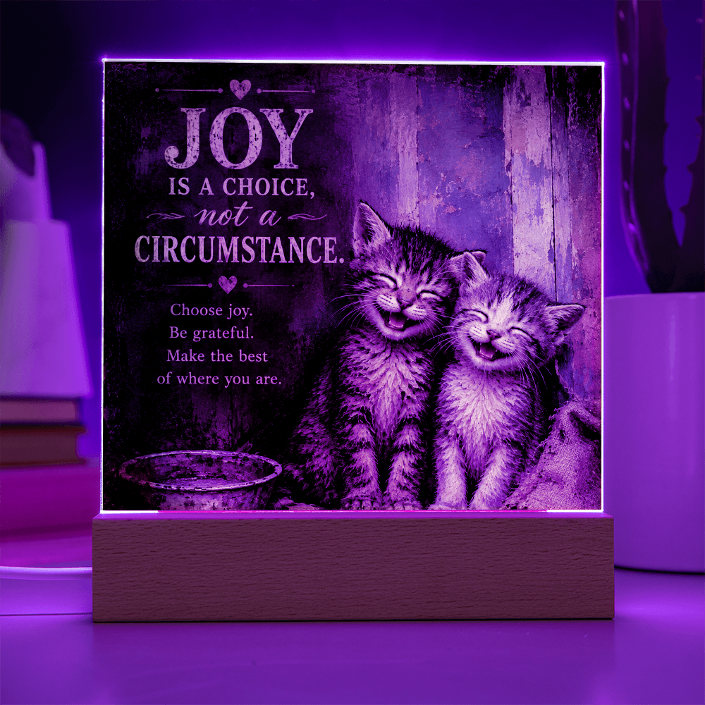 Joy Is a Choice Kitten Acrylic Plaque with LED Base