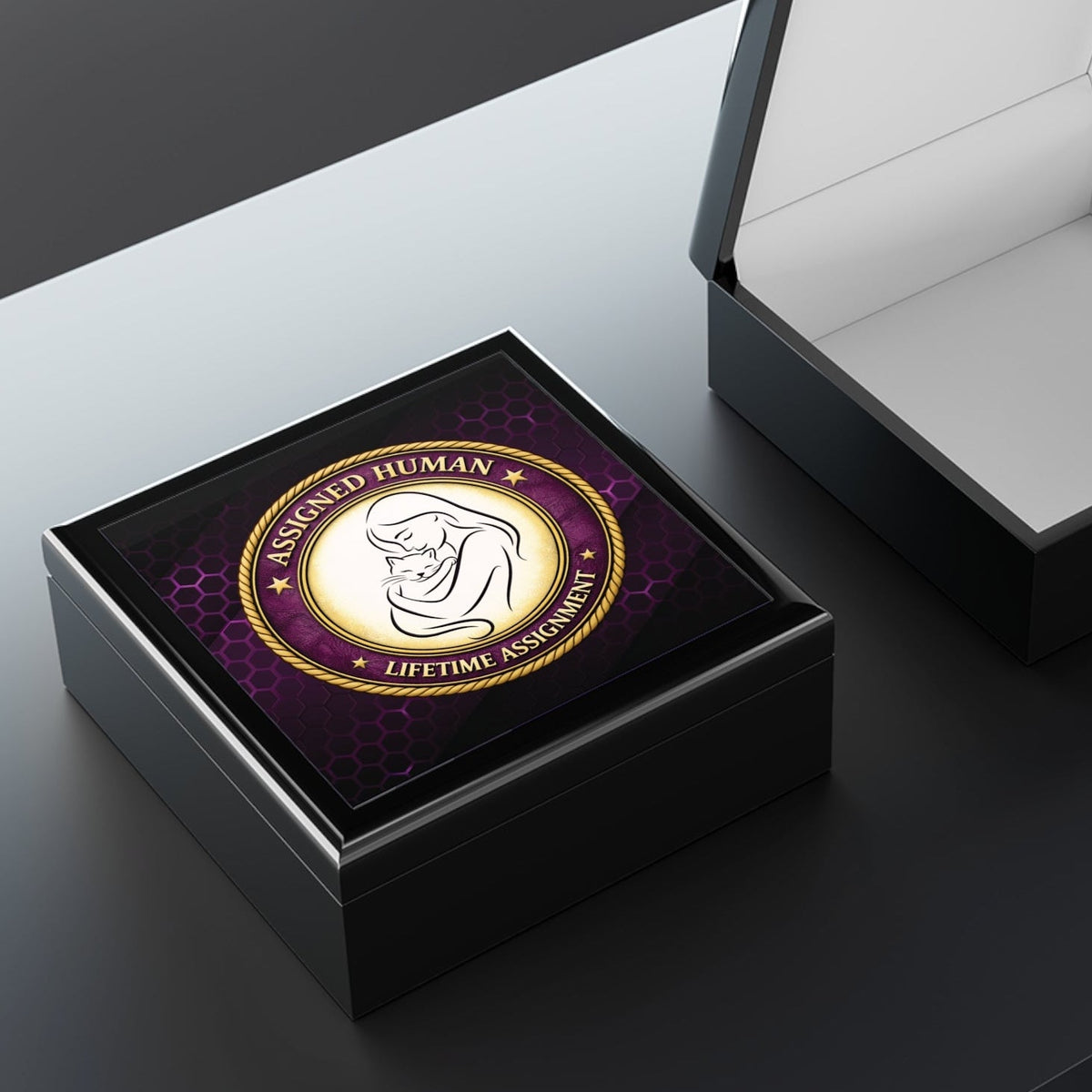 Assigned Human – Lifetime Assignment Jewelry Box | Cat Lover Keepsake - Decor, Jewelry Boxes - EpiAl's Shop