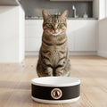 Black Ceramic Pet Bowl with Cat Accepted Emblem — Durable Food & Water Dish for Dogs & Cats - Pet Supplies, Bowls - EpiAl's Shop