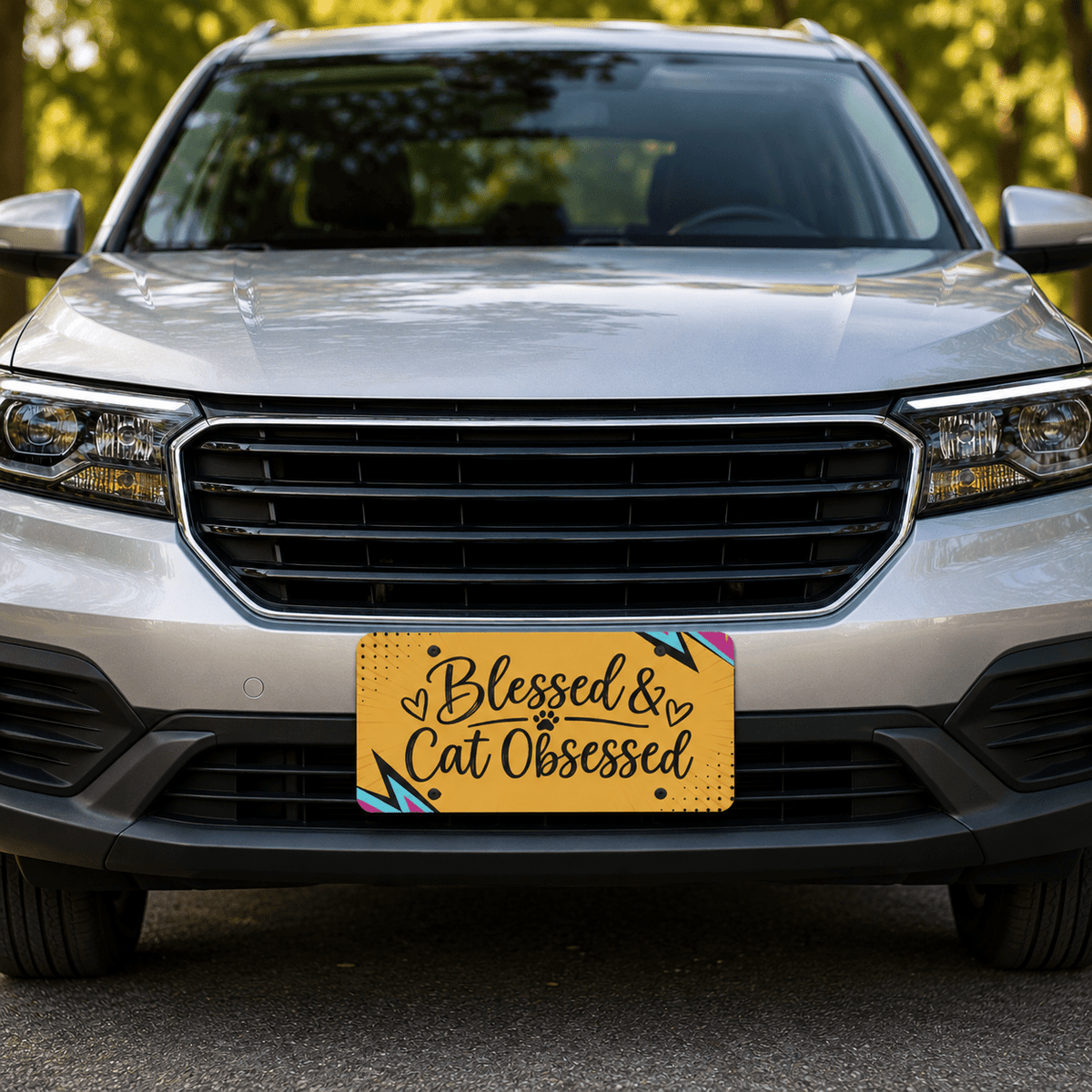 Blessed & Cat Obsessed Vanity License Plate - Vehicle License Plates/Tags - EpiAl's Shop