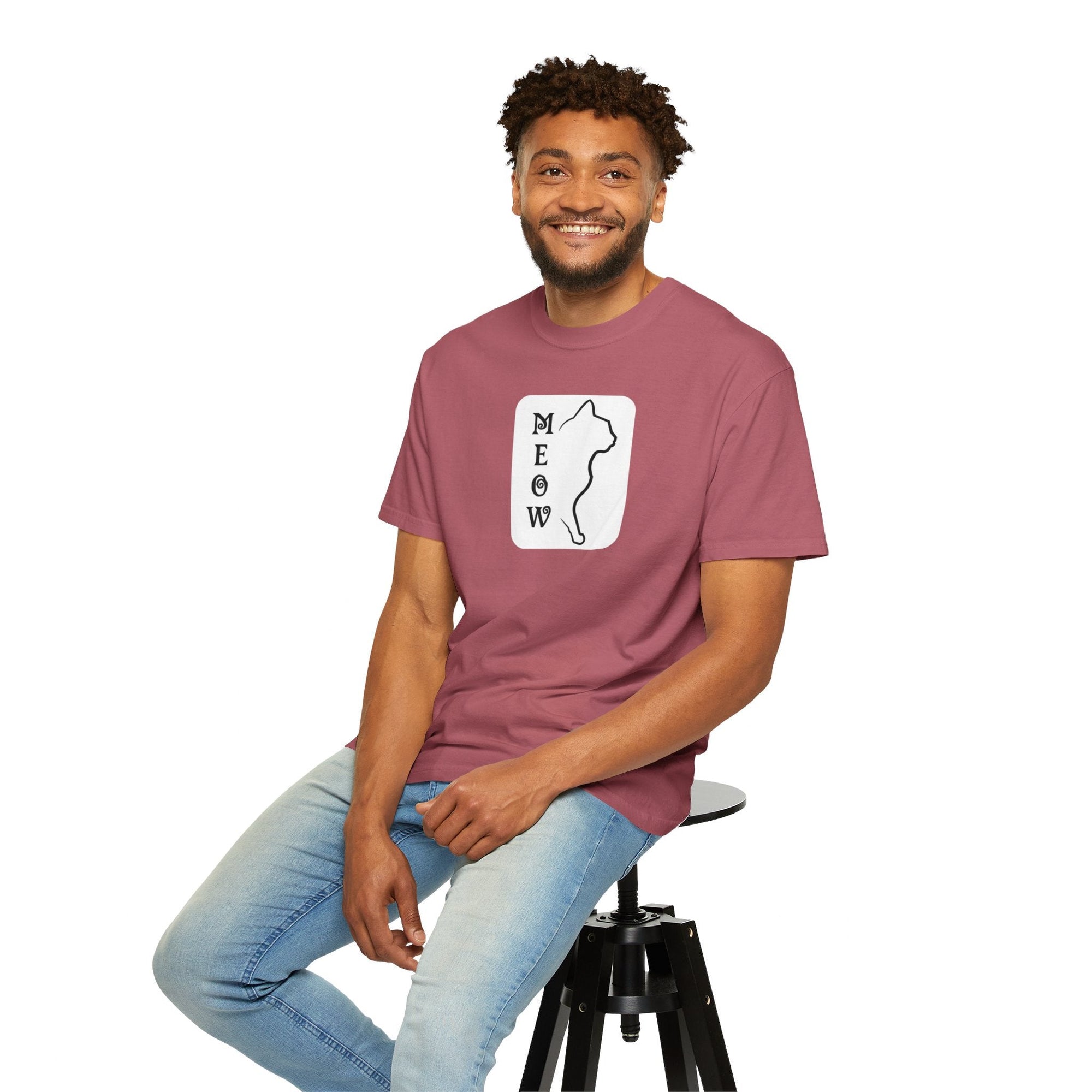 Boxy Meow Unisex Garment - Dyed T - shirt - T - Shirt - Epileptic Al’s Shop