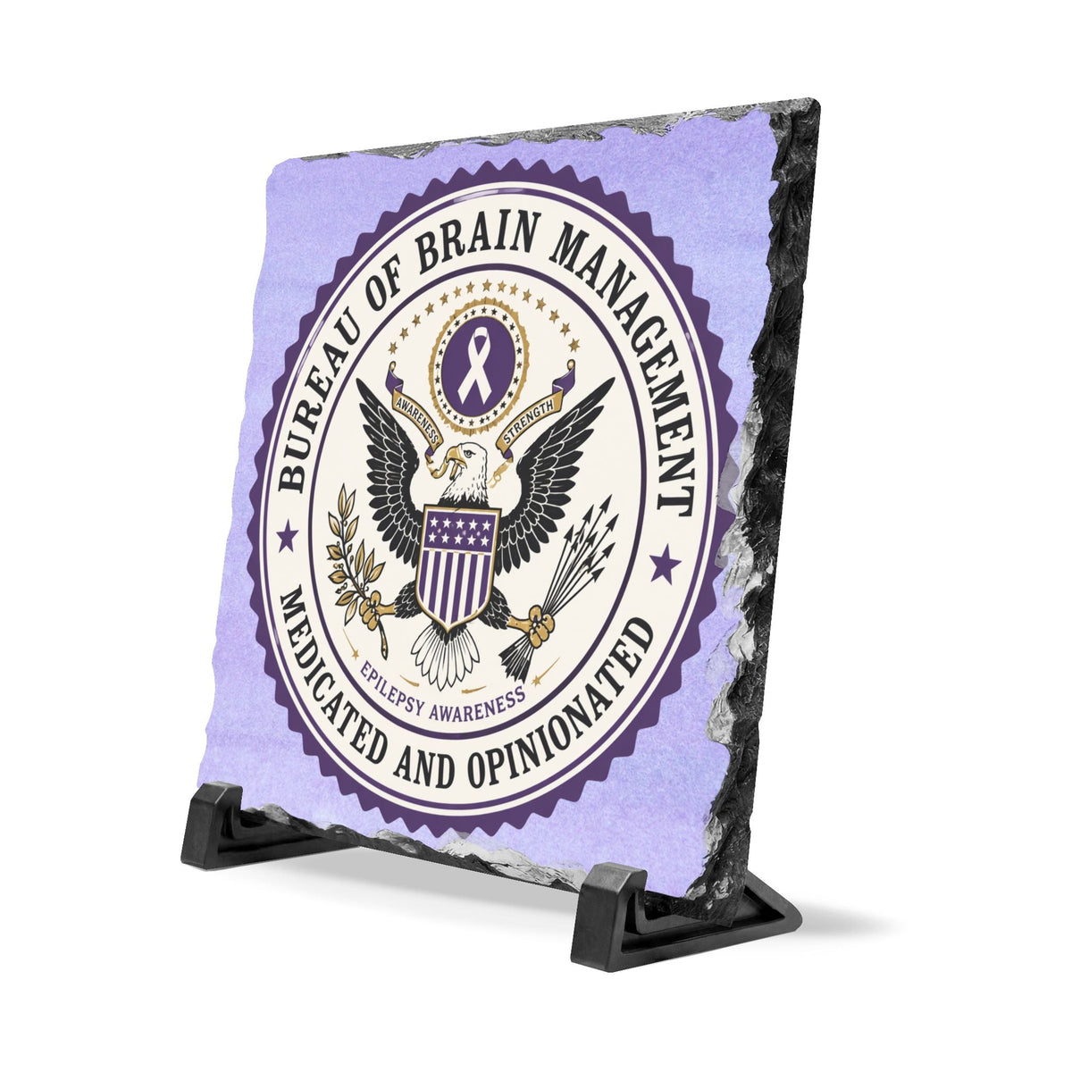 Bureau of Brain Management Slate Plaque | “Medicated and Opinionated” Desk Sign - Decor, Artwork, Signs, Desk - EpiAl's Shop