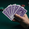 Cat Authority Playing Cards – Purple Paw Deck | Premium Poker Cards - Toys & Games, Playing Cards - EpiAl's Shop