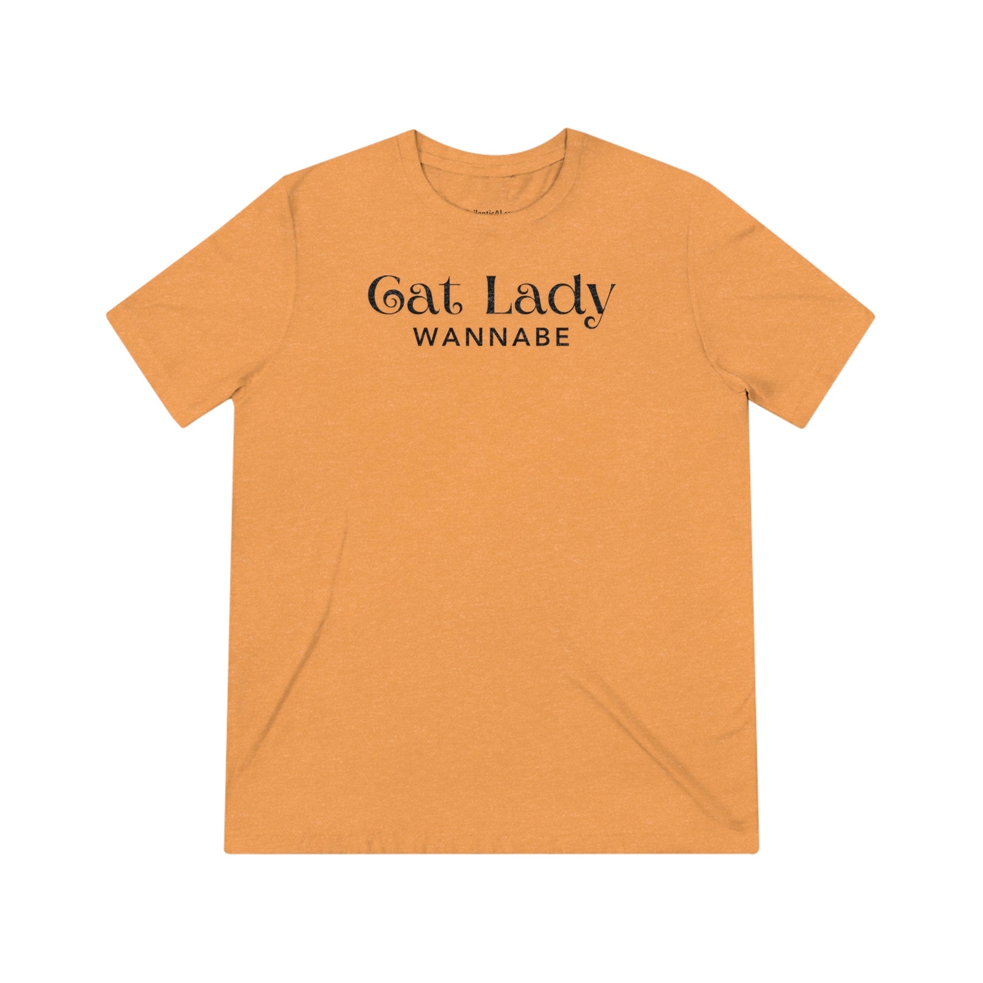 Cat Lady Wannabe Triblend Tee - T - Shirt - Epileptic Al’s Shop
