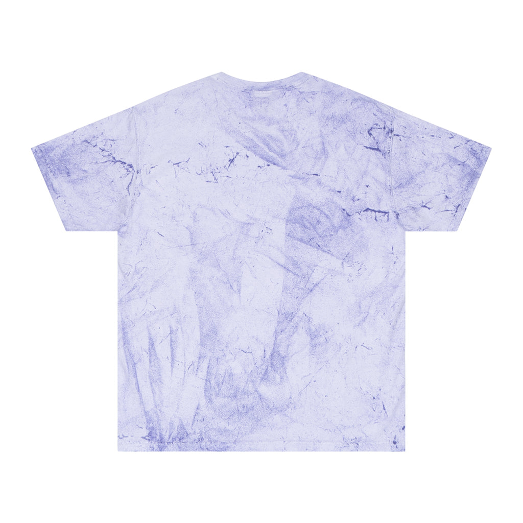 Charles Dickens Unisex Color Blast T - Shirt - T - Shirt - Epileptic Al’s Shop
