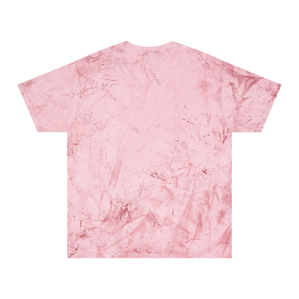 Charles Dickens Unisex Color Blast T - Shirt - T - Shirt - Epileptic Al’s Shop