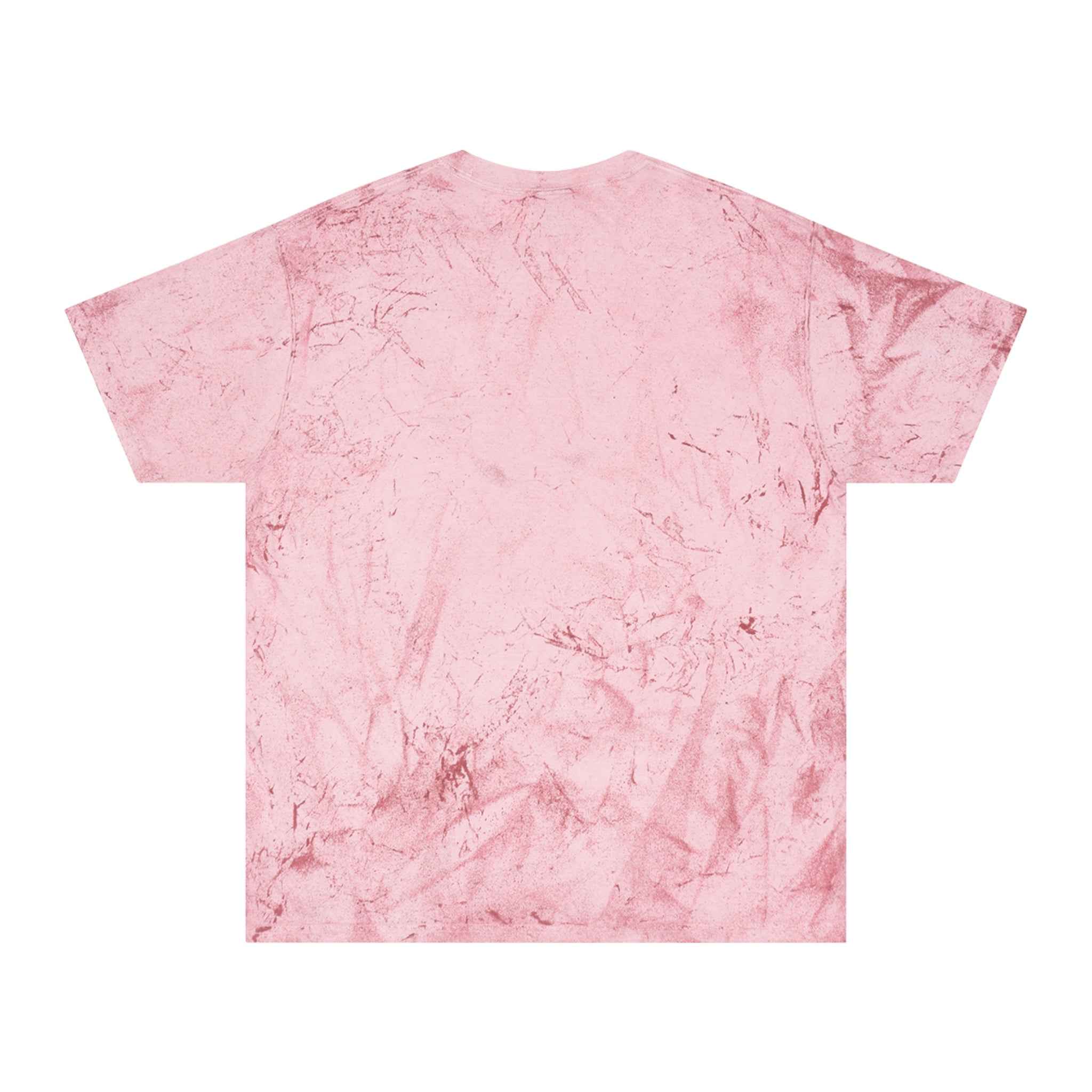 Charles Dickens Unisex Color Blast T-Shirt - EpiAl's Shop