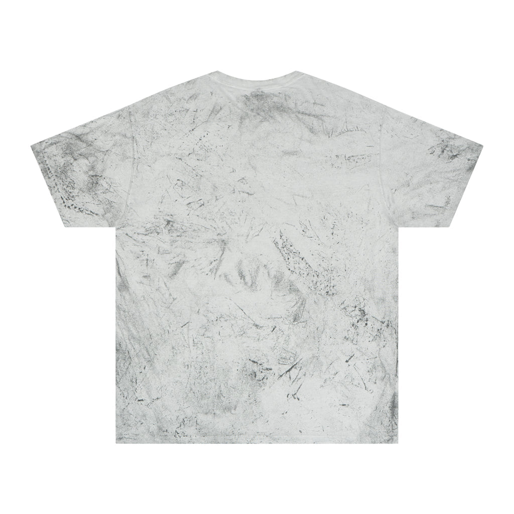 Charles Dickens Unisex Color Blast T - Shirt - T - Shirt - Epileptic Al’s Shop