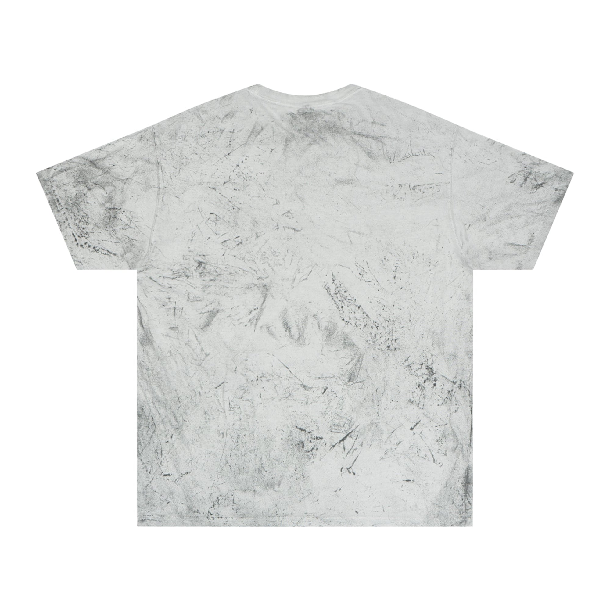 Charles Dickens Unisex Color Blast T - Shirt - T - Shirt - Epileptic Al’s Shop