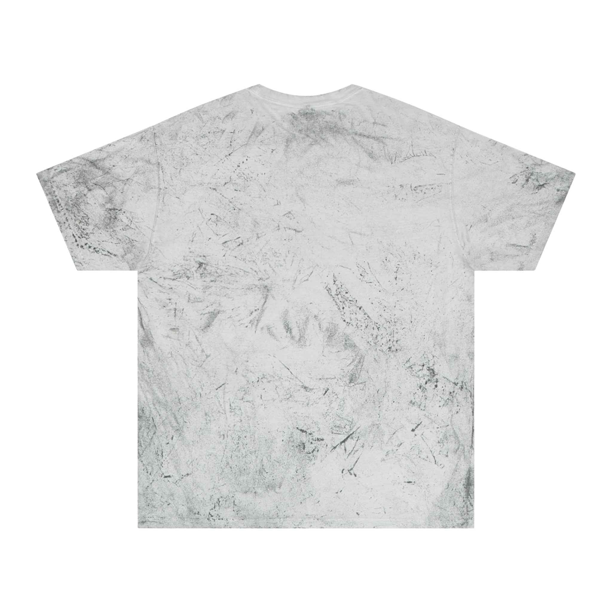 Charles Dickens Unisex Color Blast T-Shirt - EpiAl's Shop