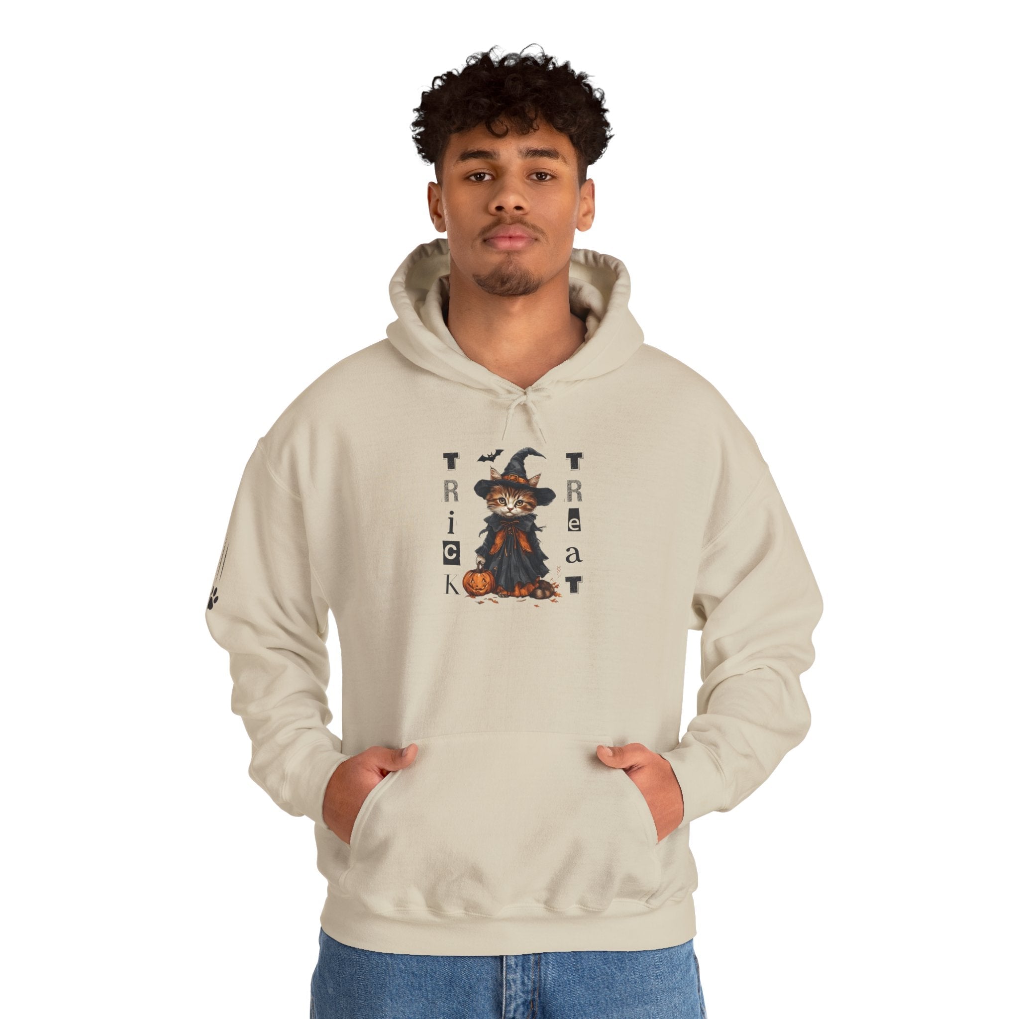 Cozy Halloween Witchy Cat Hoodie - Clothing, Hoodies - EpiAl's Shop
