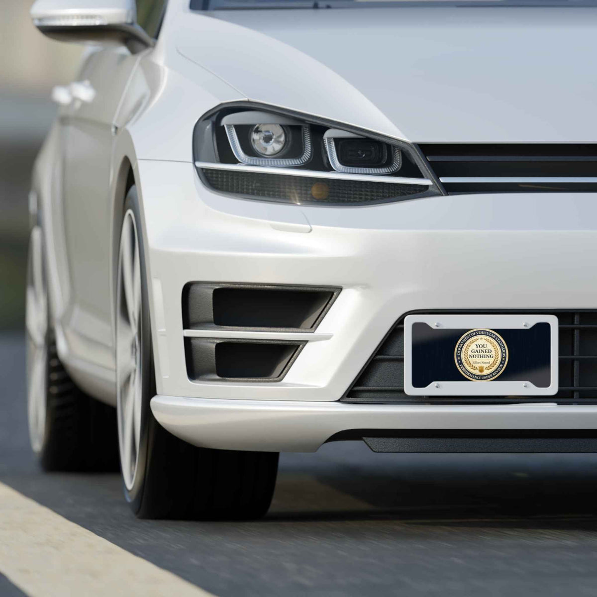 Department of Vehicular Standards License Plate – “You Gained Nothing” Faux Seal Plate - Vehicle License Plates/Tags - EpiAl's Shop