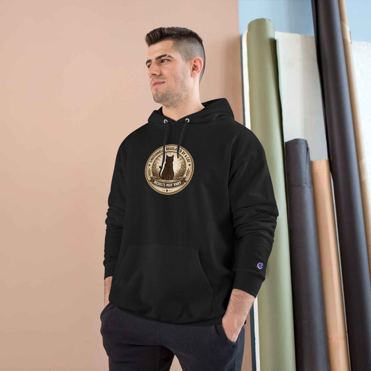 Emotionally Regulated by a Cat Hoodie (Champion® Sweatshirt) - Clothing, Unisex, Hoodies - EpiAl's Shop