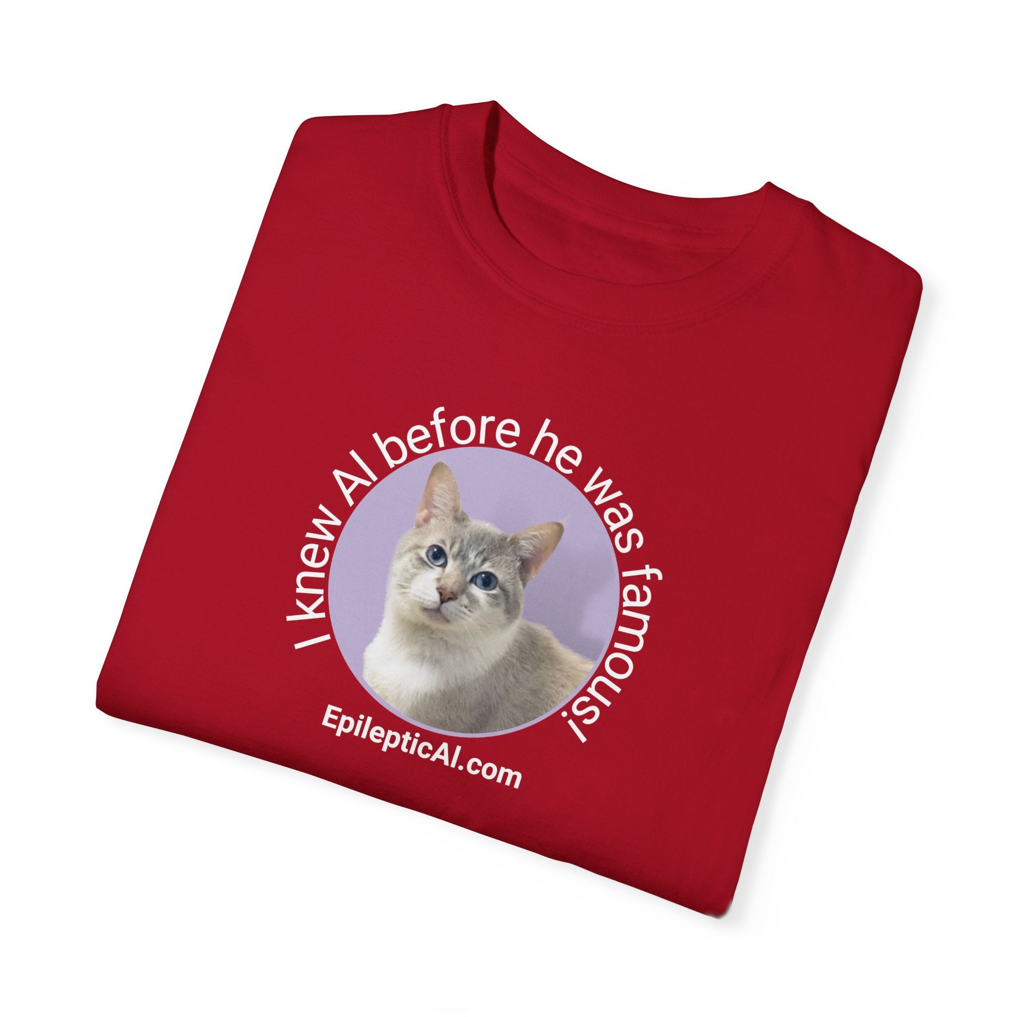 Famous Al Unisex Garment-Dyed T-shirt - EpiAl's Shop