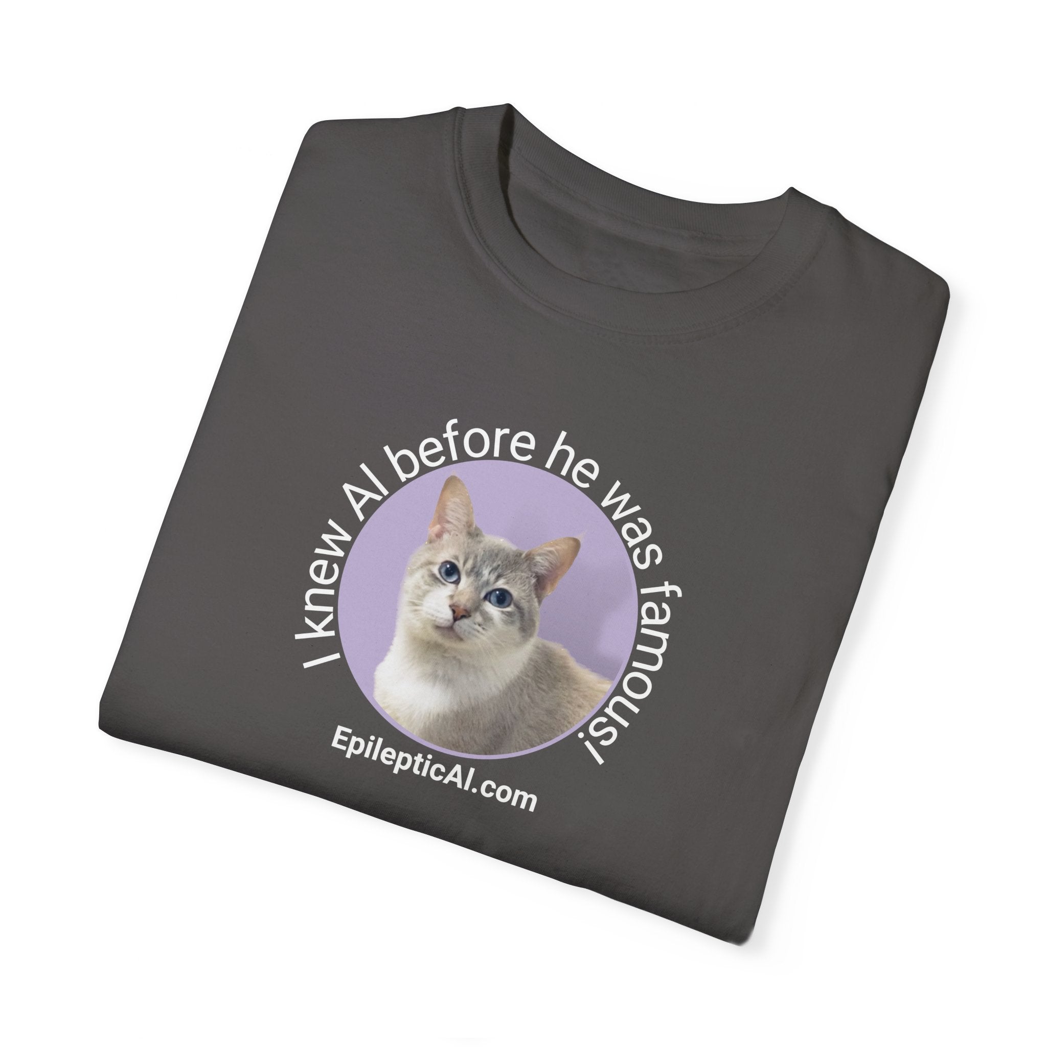 Famous Al Unisex Garment-Dyed T-shirt - EpiAl's Shop