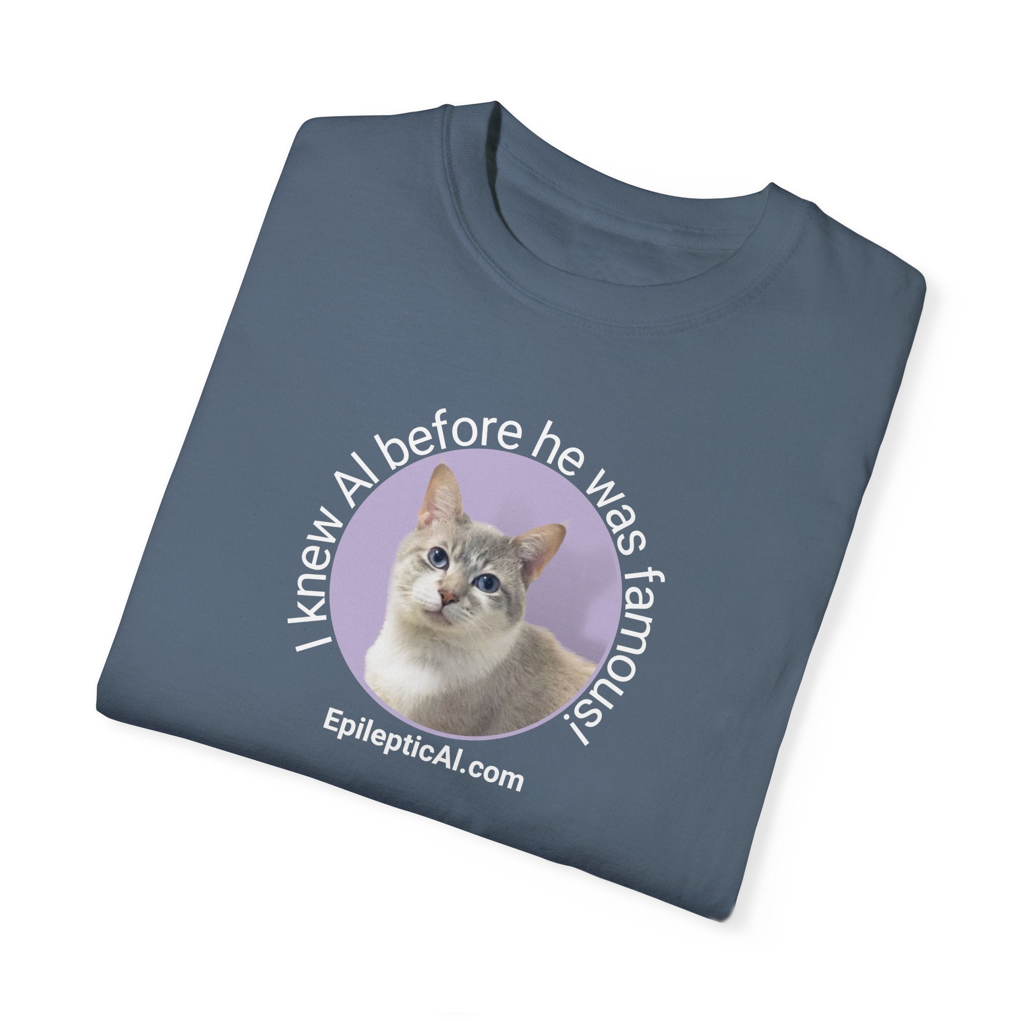 Famous Al Unisex Garment-Dyed T-shirt - EpiAl's Shop