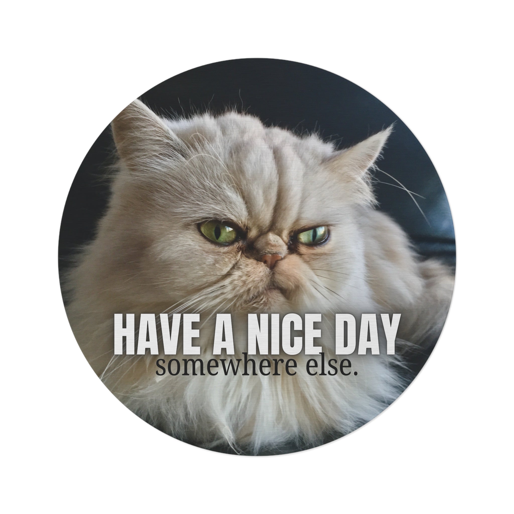 Funny Cat Round Rug – 