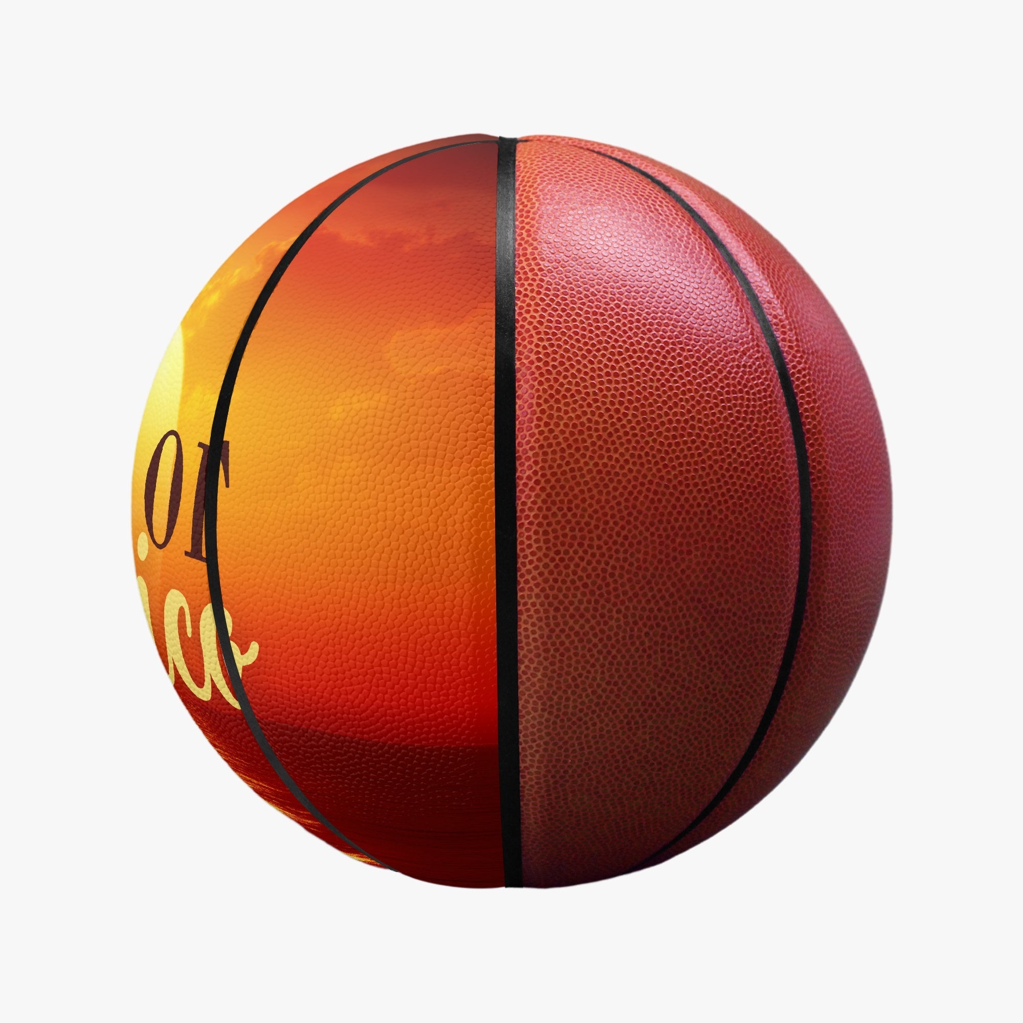 Gulf of Mexico Basketball - Four Panel Printed - Toys & Games, Basketballs - EpiAl's Shop