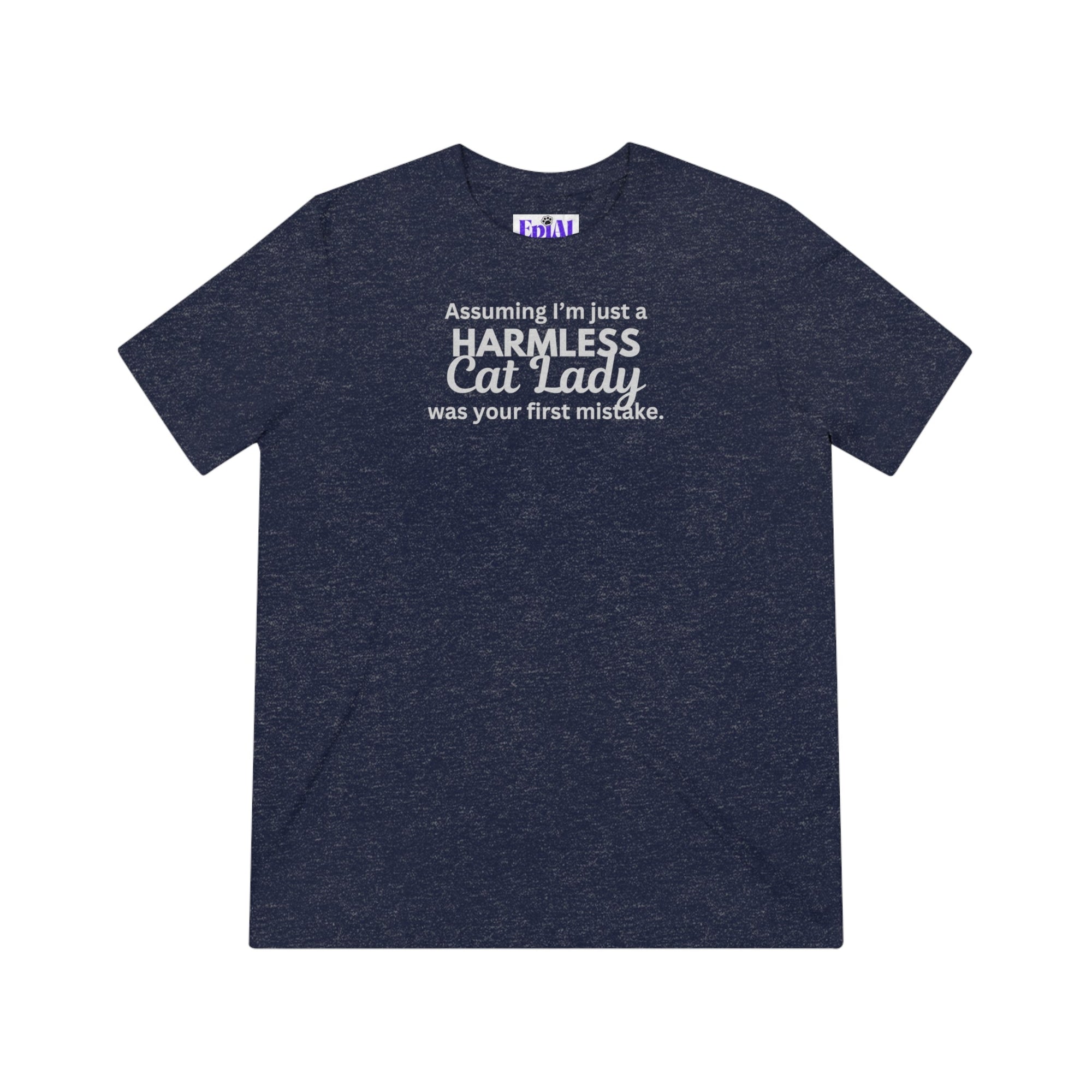 Harmless Cat Lady Triblend Tee - T - Shirt - Epileptic Al’s Shop