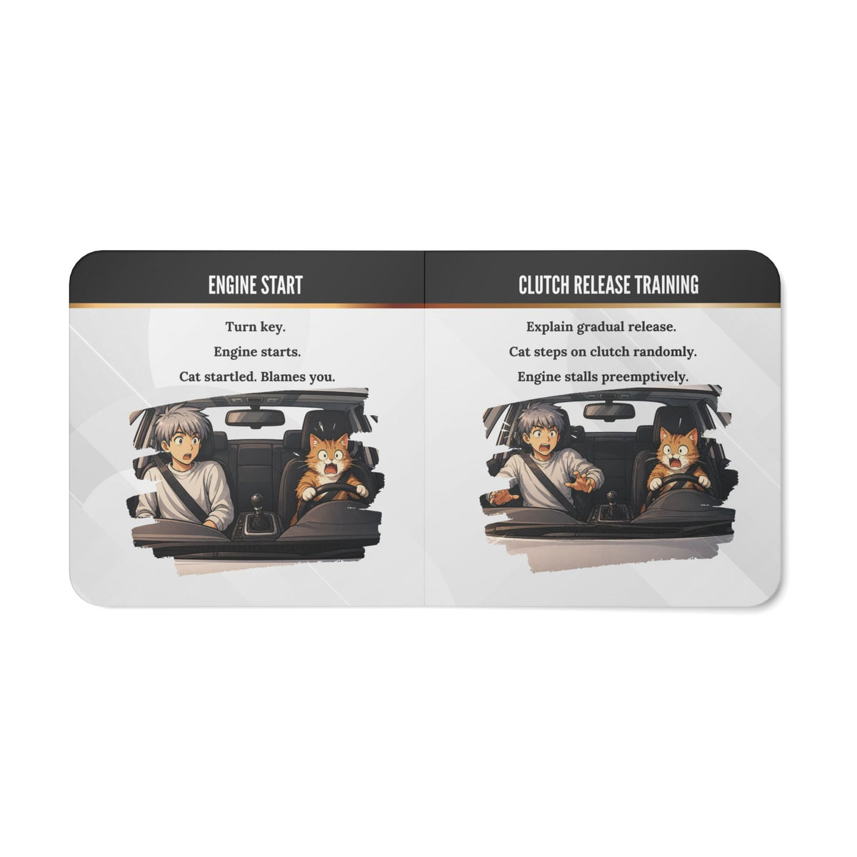 How to Teach Your Cat to Drive Stick | Absurd Board Book for Adults - Books, Board - EpiAl's Shop