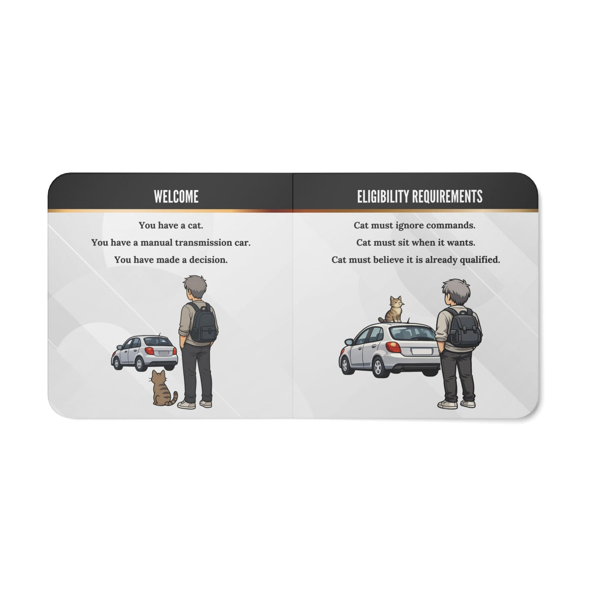 How to Teach Your Cat to Drive Stick | Absurd Board Book for Adults - Books, Board - EpiAl's Shop