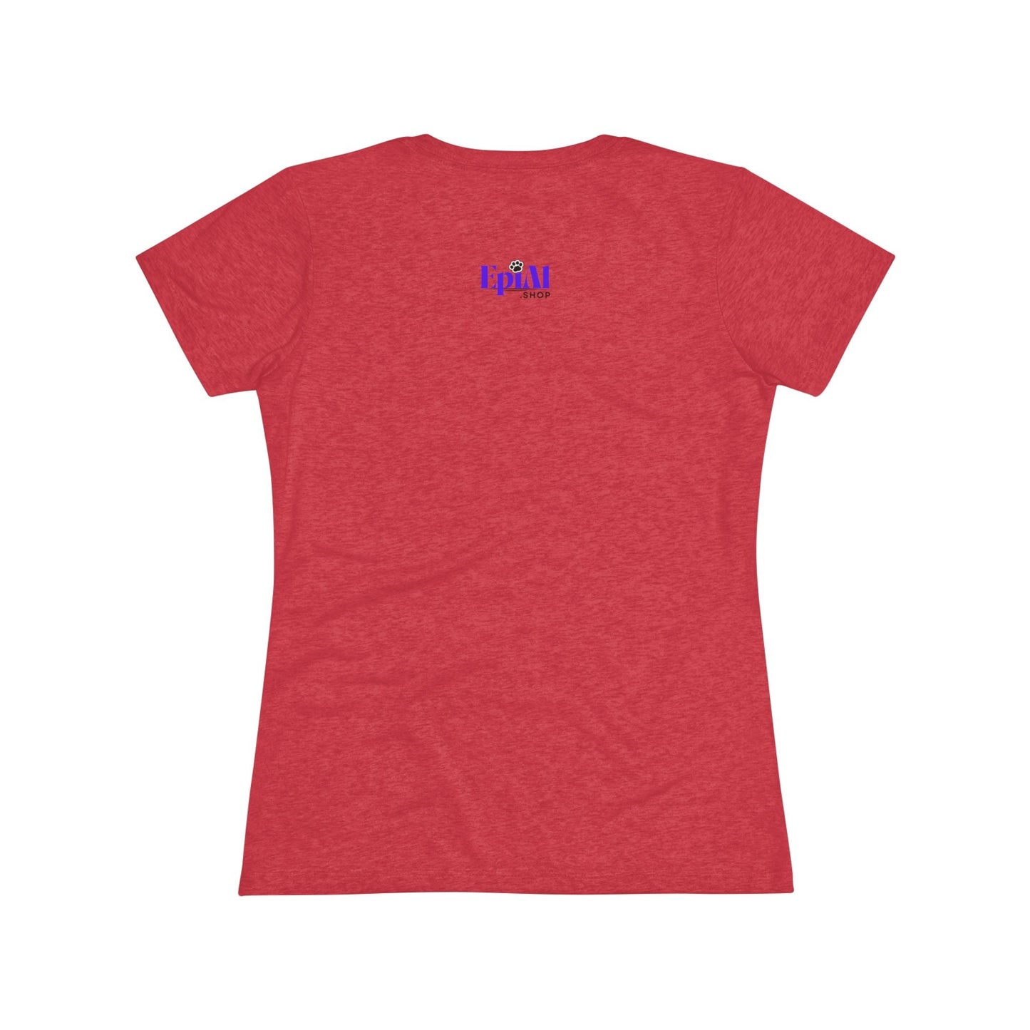 I Talk to Cats Women's Triblend Tee - T - Shirt - Epileptic Al’s Shop