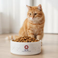ICE – Independent Cat Entity Ceramic Cat Bowl | Political Parody - Pet Supplies, Bowls - EpiAl's Shop