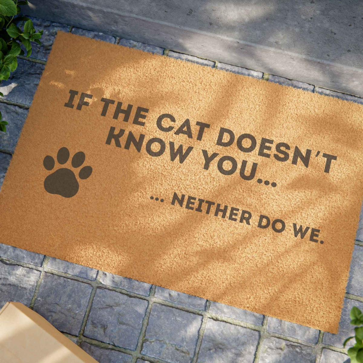 If the Cat Doesn’t Know You, Neither Do We – Welcome Mat - Decor, Rugs, Outdoor - EpiAl's Shop