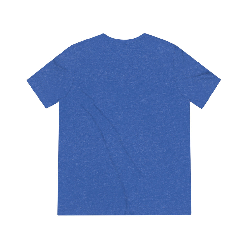 It Is Unisex Triblend Tee - T - Shirt - Epileptic Al’s Shop