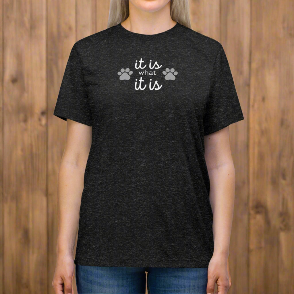 It Is Unisex Triblend Tee - T - Shirt - Epileptic Al’s Shop