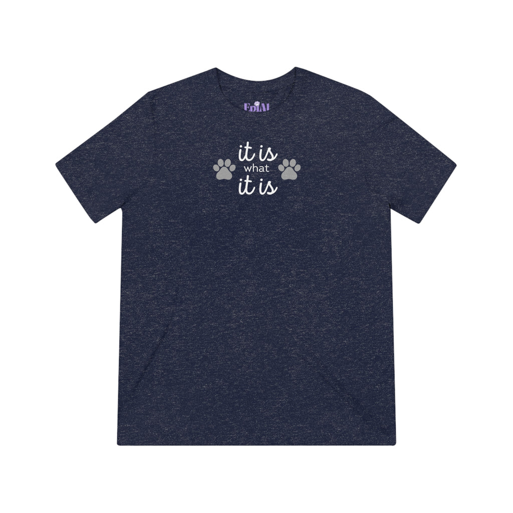 It Is Unisex Triblend Tee - T - Shirt - Epileptic Al’s Shop