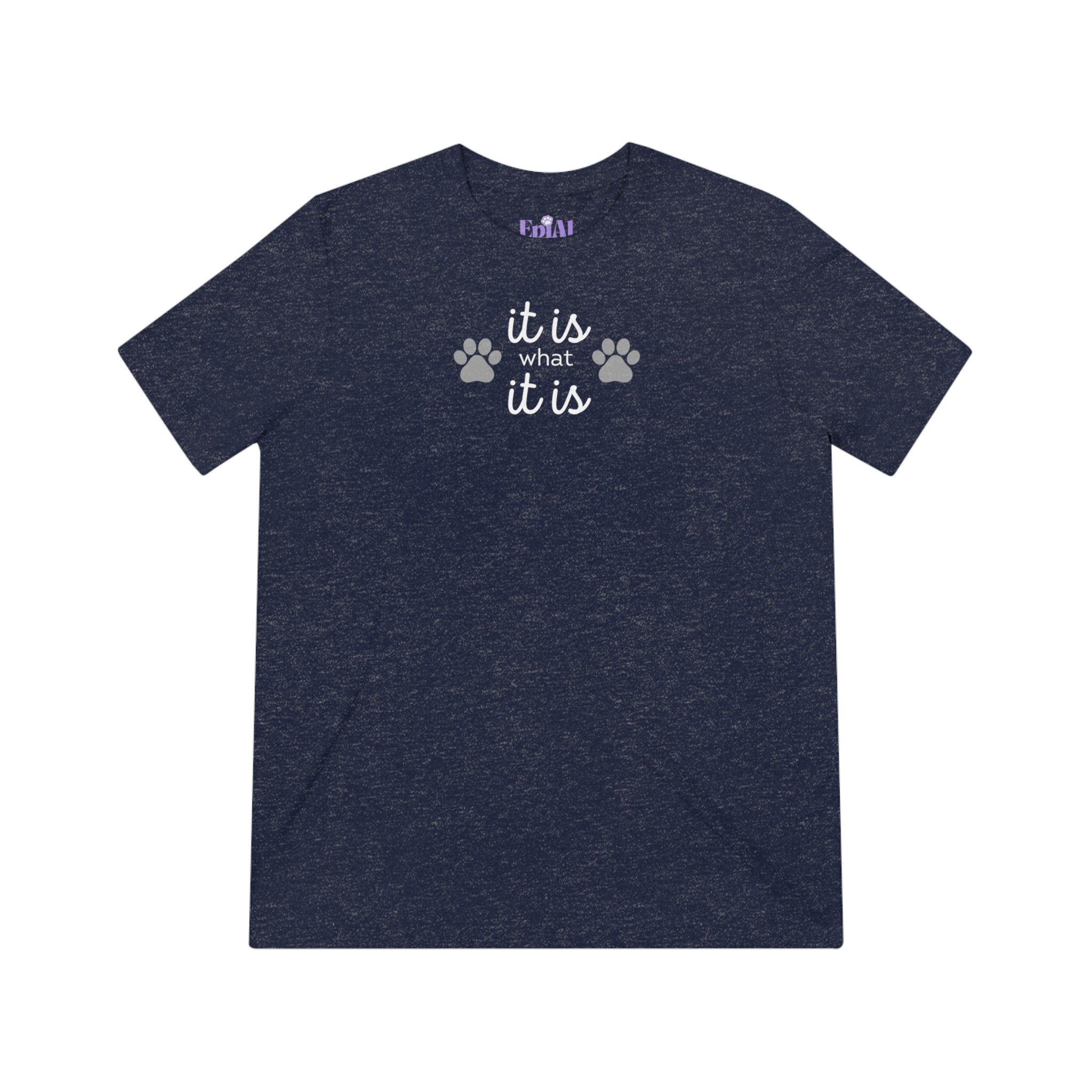 It Is Unisex Triblend Tee - T - Shirt - Epileptic Al’s Shop