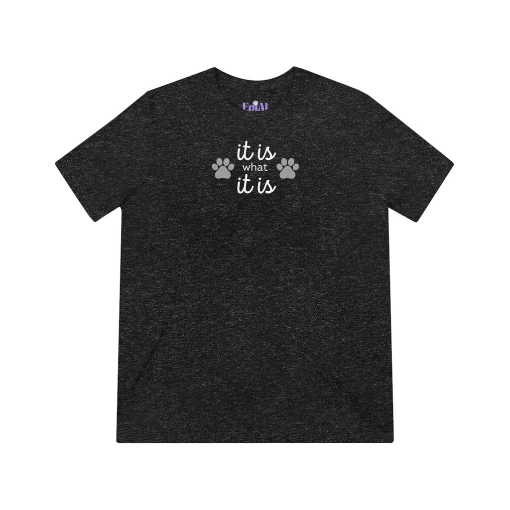 It Is Unisex Triblend Tee - T - Shirt - Epileptic Al’s Shop