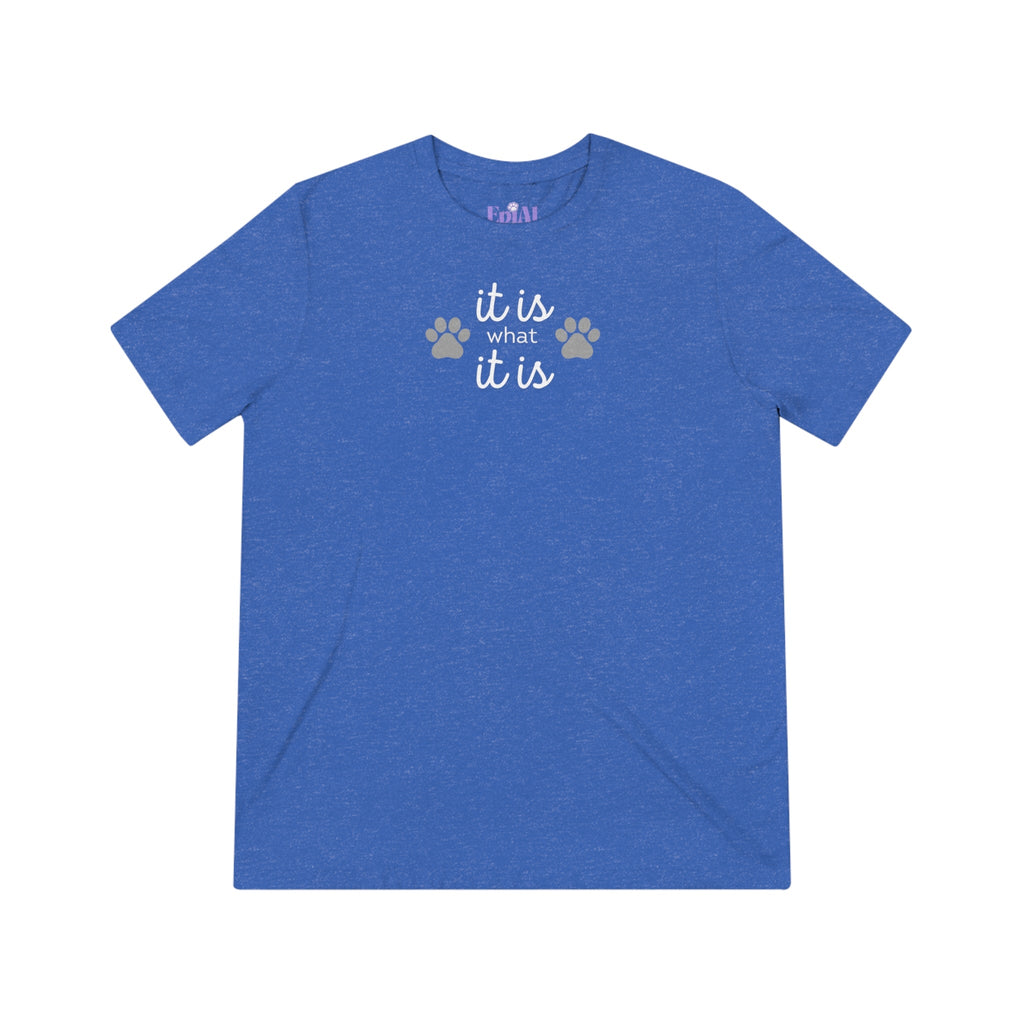 It Is Unisex Triblend Tee - T - Shirt - Epileptic Al’s Shop