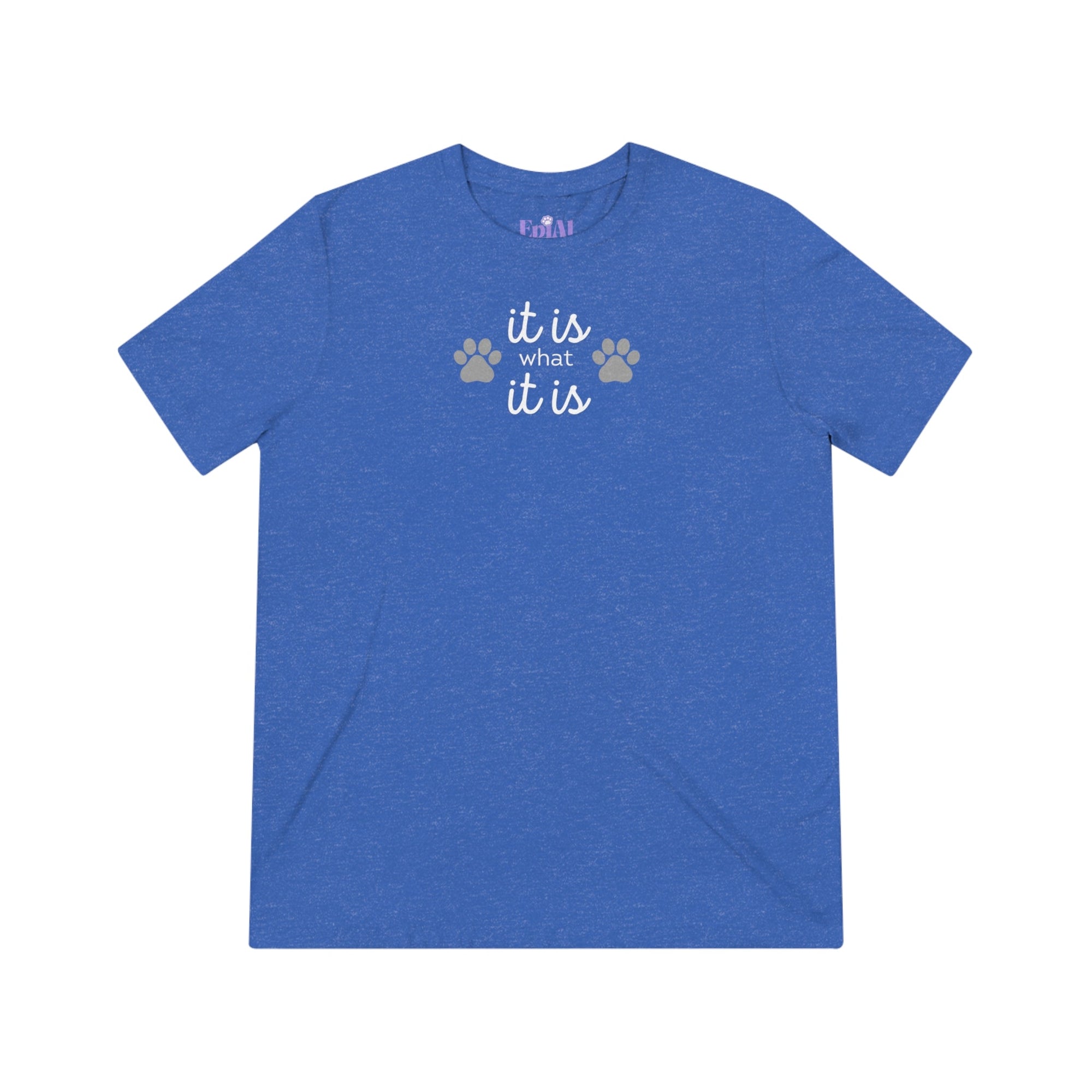 It Is Unisex Triblend Tee - T - Shirt - Epileptic Al’s Shop