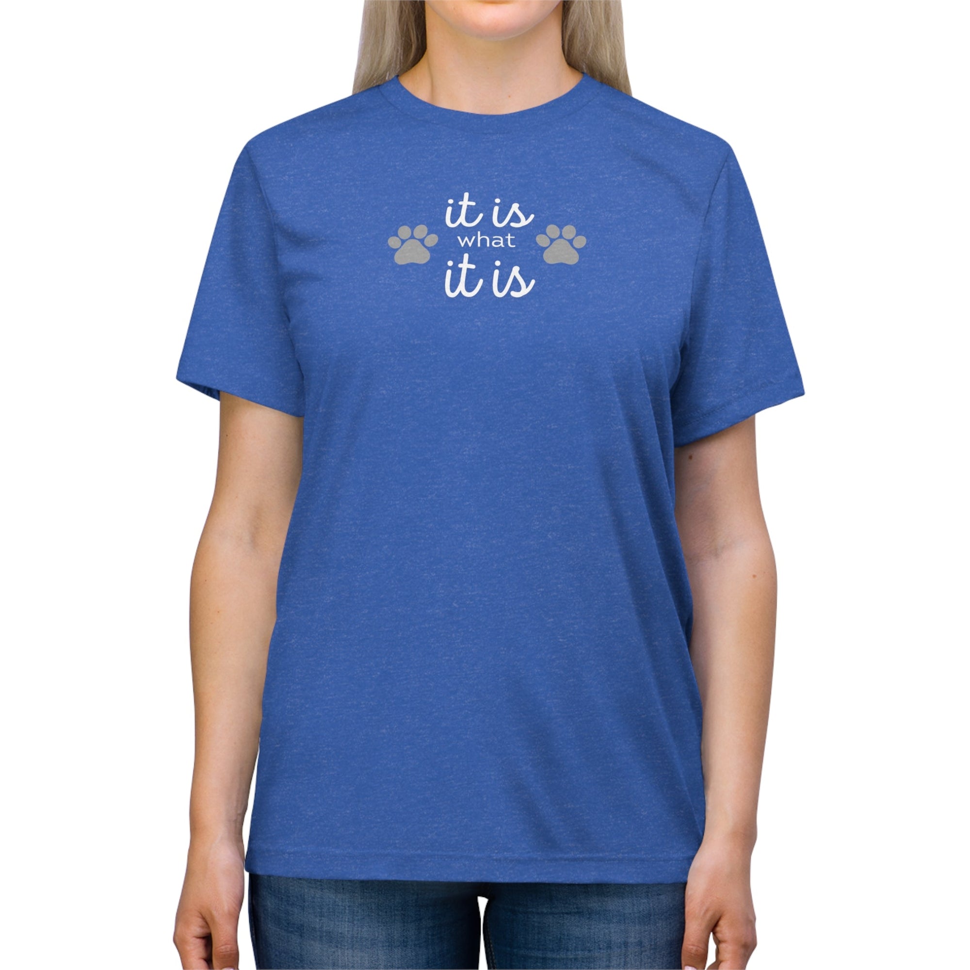 It Is Unisex Triblend Tee - T - Shirt - Epileptic Al’s Shop