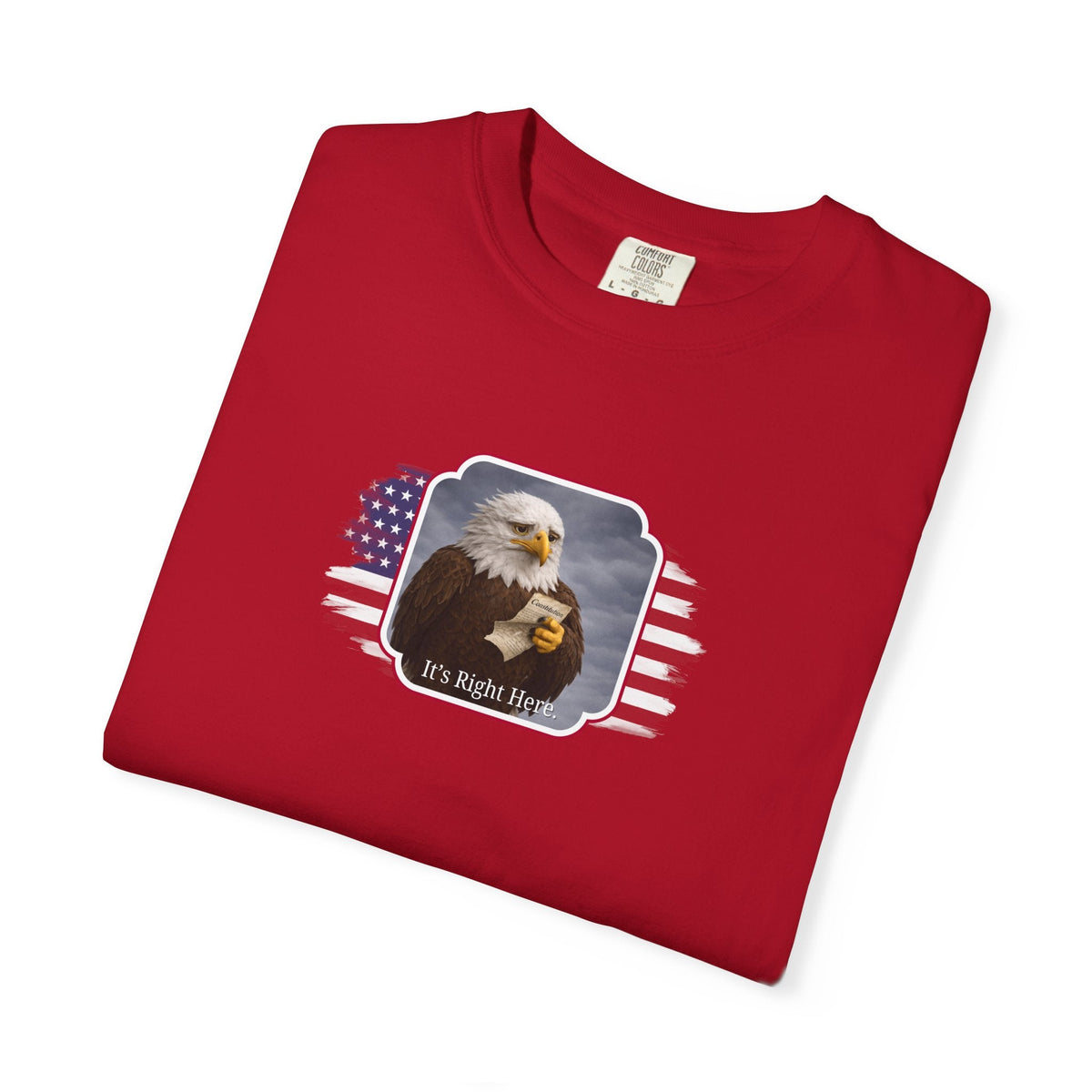 “It’s Right Here” Political Parody T-Shirt - Clothing, Unisex, T-Shirts - EpiAl's Shop