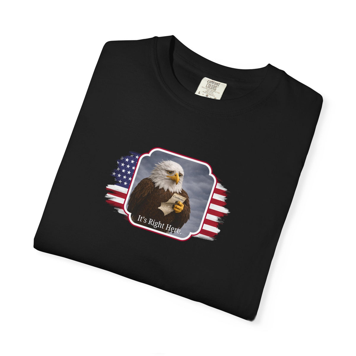 “It’s Right Here” Political Parody T-Shirt - Clothing, Unisex, T-Shirts - EpiAl's Shop