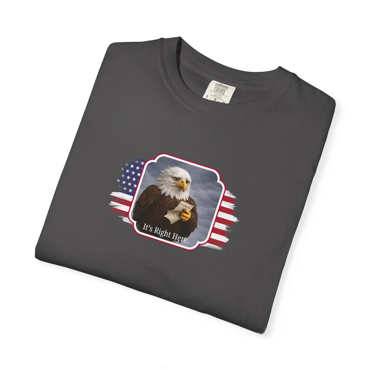 “It’s Right Here” Political Parody T-Shirt - Clothing, Unisex, T-Shirts - EpiAl's Shop