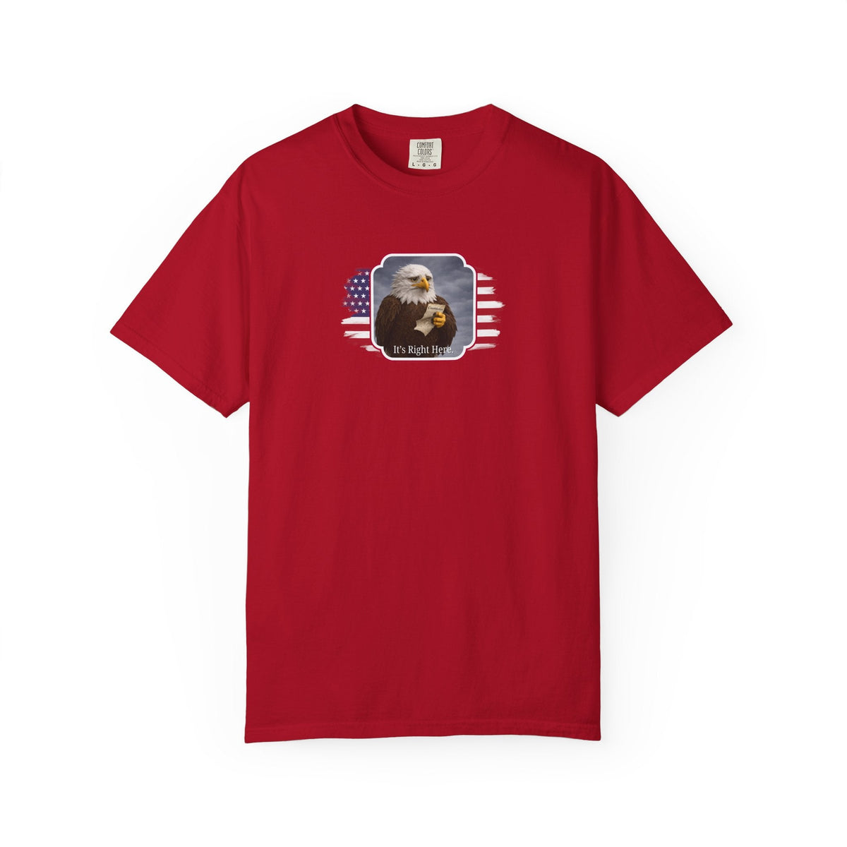 “It’s Right Here” Political Parody T-Shirt - Clothing, Unisex, T-Shirts - EpiAl's Shop