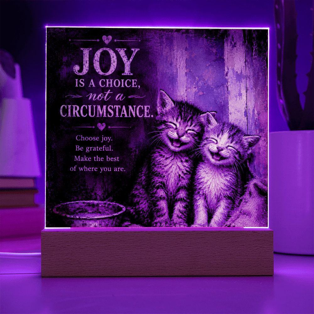 Joy Is a Choice Kitten Acrylic Plaque with LED Base - Decor, Artwork, Plaques - EpiAl's Shop