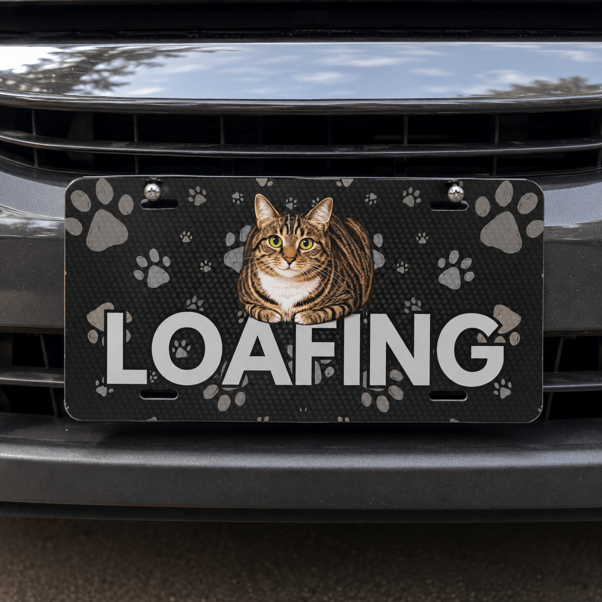 LOAFING Cat Vanity Plate – Funny Cat Lover Aluminum License Plate Sign - Vehicle License Plates/Tags - EpiAl's Shop