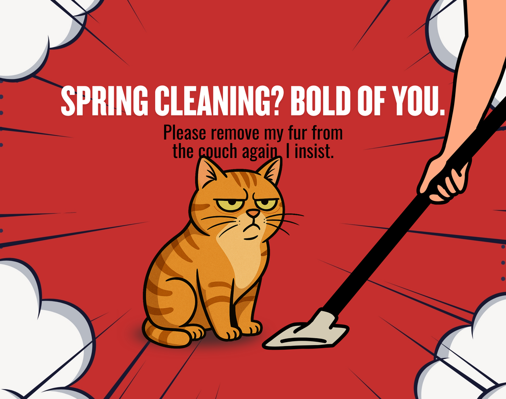 Catsplaining the Year – 2026 Funny Cat Calendar | EpilepticAL