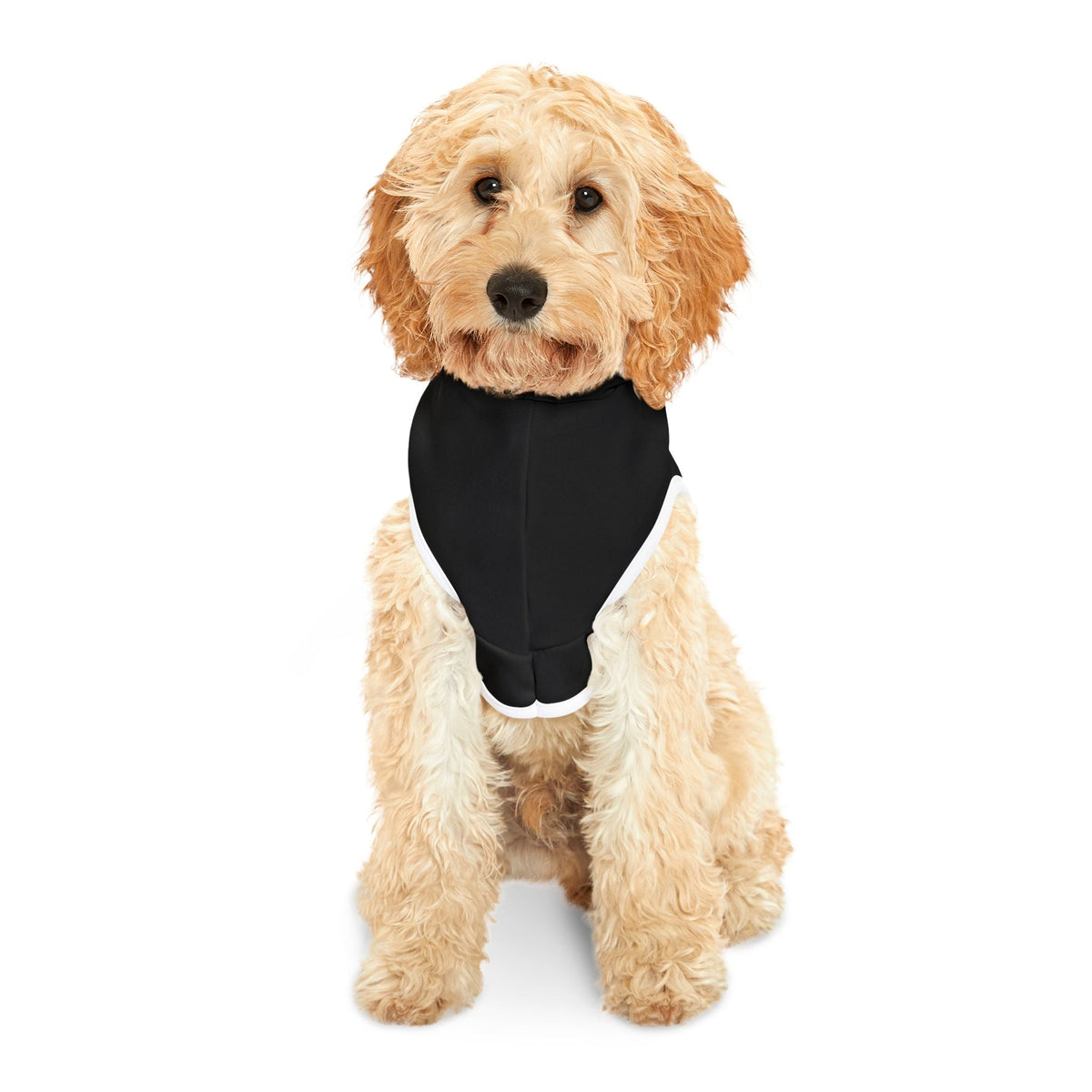 Mildly Hostile Cat Hoodie – Black (Funny Cat Apparel) - Pet Supplies, Clothing - EpiAl's Shop