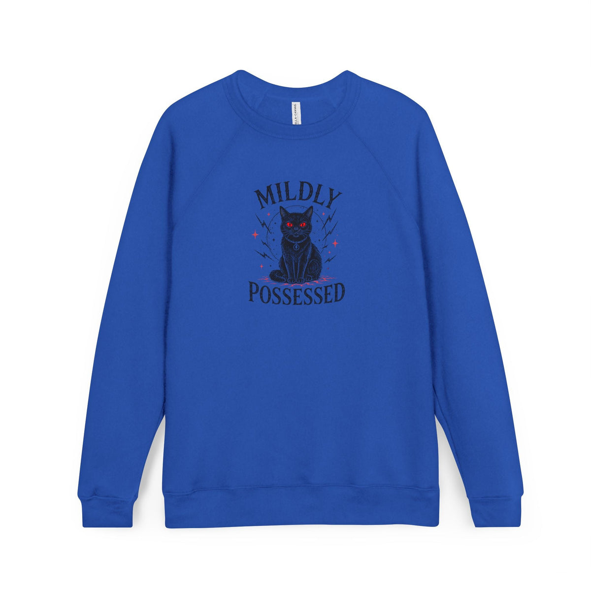 Mildly Possessed Black Cat Raglan Sweatshirt - Clothing, Unisex, Sweatshirts - EpiAl's Shop